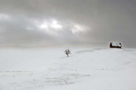 Stormy winter landscape with single tree and wooden cabin on top of mountainの写真素材