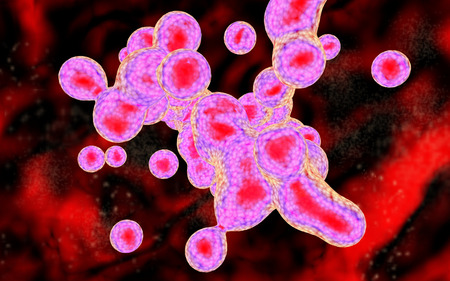Cells divide by osmosis, mitosis xray. 3d render, scientific illustrationの写真素材