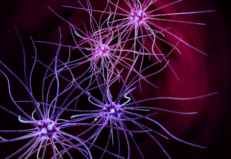3d Illustration of a nerve cell on a colored backgroundの写真素材