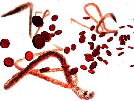 3d Digital illustration of Ebola virus, Microscopic view.の写真素材
