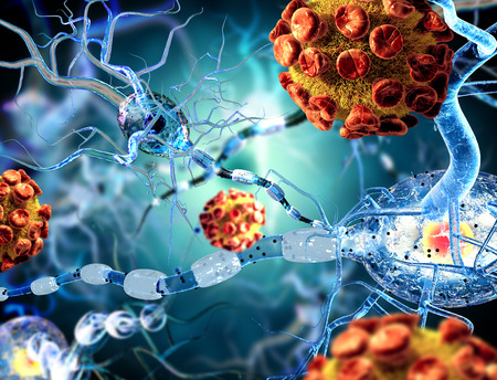 3d illustration of nerve cells concept for Neurological Diseases tumors and brain surgery.
