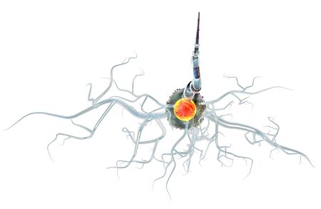 3d illustration of nerve cells, concept for Neurological Diseases, tumors and brain surgery.の写真素材