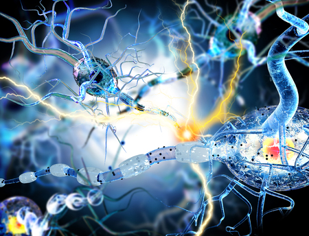 3d illustration of nerve cells, concept for Neurological Diseases, tumors and brain surgery.の写真素材