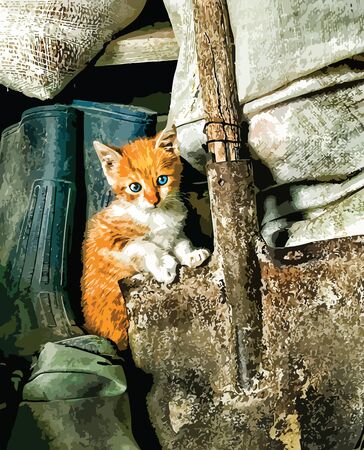 Cute white and orange kitten sitting in old barn.  eps10.cat_01のイラスト素材
