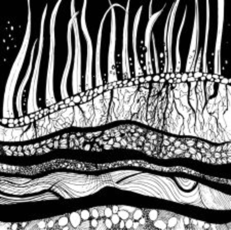 Original drawing, artwork, cross section of ground with grass, roots and seeds. Vectorのイラスト素材