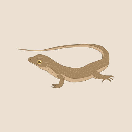Illustration of a brown lizard with a long tail, World Lizard Dayのイラスト素材