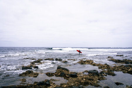 happy surfer on the coast with his red surfboardの写真素材