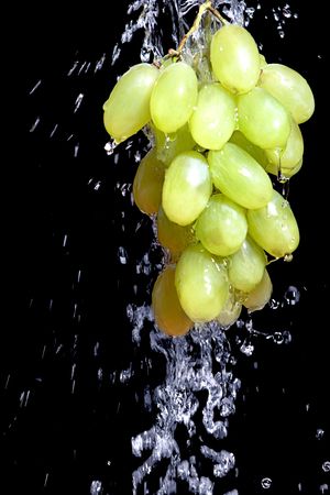 Bunch of grape with waterの写真素材