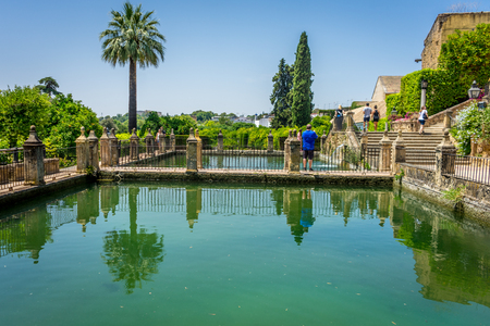 Reflections of a palm tree on a pond at the Alcazar castle in Cordoba, Spain, Europe on a bright summer day with blue skyのeditorial素材