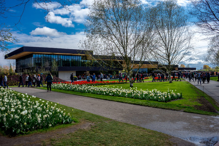 Keukenhof, Netherlands - April 23 : The tulip gardens April 23, 2017. Tourists visit the tulip gardens in Lisse, Netherlands, Europeのeditorial素材