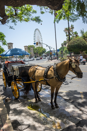 A horse drawn carriage in front of a giant wheel at Malaga, Spain, Europe on a bright summer dayのeditorial素材