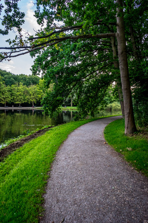 walking path along a pond at Haagse Bos, forest in The Hague, Netherlands, Europeの写真素材