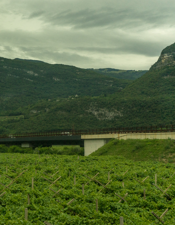 Europe, Italy, La Spezia to Kasltelruth train, a large green field with a mountain in the backgroundの写真素材