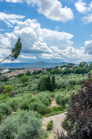 Europe, Italy, Florence, a tree with a mountain in the backgroundの写真素材