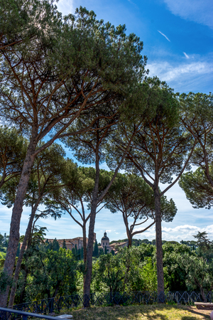 The ancient ruins at the Roman Forum in Rome. Famous world landmarkの写真素材