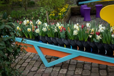 Flower garden, Netherlands, Europe, a group of colorful flowers sitting on a bench
