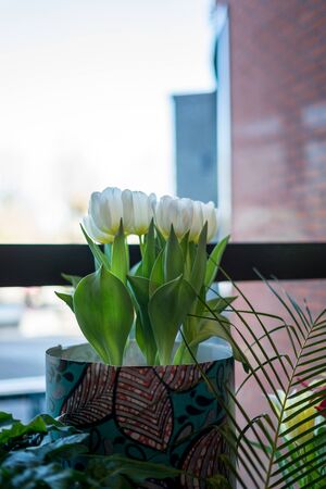 Flower garden, Netherlands, Europe, a vase of flowers on a tableの写真素材