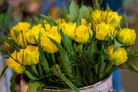 Flower garden, Netherlands, Europe, a vase filled with flowers sitting on a yellow flowerの写真素材