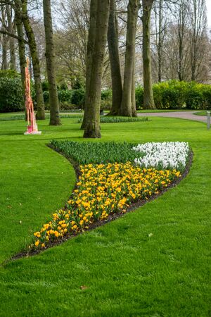 Flower garden, Netherlands, Europe, a yellow flower in a parkの写真素材