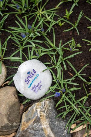 Flower garden, Netherlands, Europe, a close up of a rockの写真素材