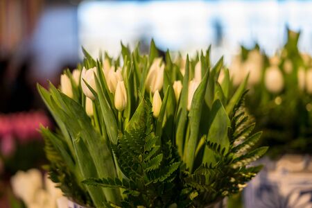 Flower garden, Netherlands, Europe, a vase of flowers on a plantの写真素材