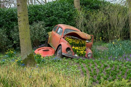 Flower garden, Netherlands, Europe, a car parked in the grass
