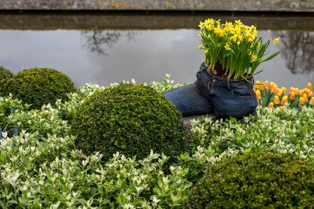 Flower garden, Netherlands, Europe, a yellow flower in front of a pond