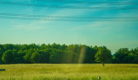 Germany, Frankfurt, Sunrise, Outkirts, a flock of birds standing on top of a grass covered fieldの写真素材