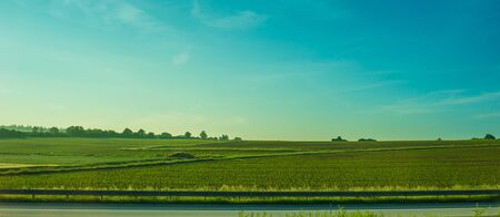 Germany, Frankfurt, Sunrise, Outkirts, a close up of a lush green field