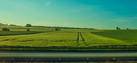 Germany, Frankfurt, Sunrise, Outkirts, a large green field with trees in the backgroundの写真素材