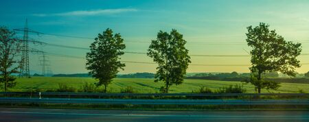 Germany, Frankfurt, Sunrise, Outkirts, a view of a treeの写真素材