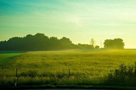 Germany, Frankfurt, Sunrise, Outkirts, a large green field with trees in the background