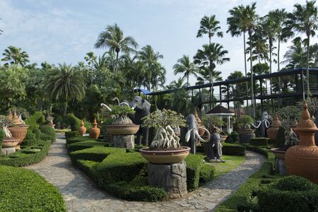 Beautiful green garden in Thailand with palms and false elephantsの写真素材