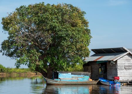 Ramshackle hut and boat on the lake by the huge tree in Cambodiaのeditorial素材