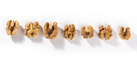 Row of peeled walnuts. Isolated on white background
