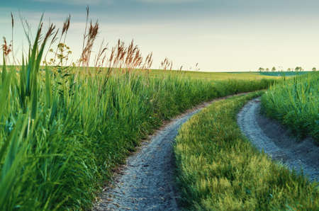 Rural landscape with road and grassの写真素材