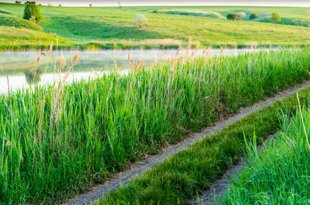 Landscape with grass field lake and roadの写真素材