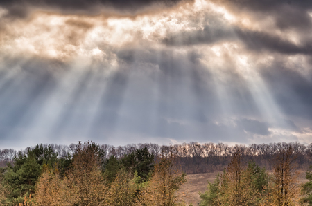 Sunbeams from the cloudy sky at autumn parkの写真素材