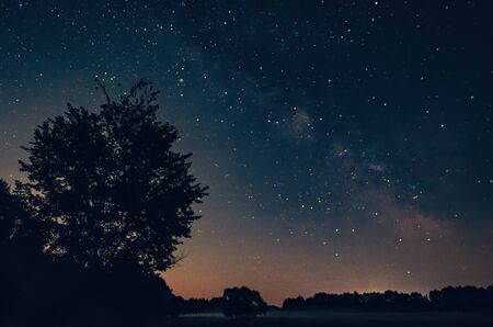 Beautiful night sky over forest landscape, Milky Way and treesの写真素材