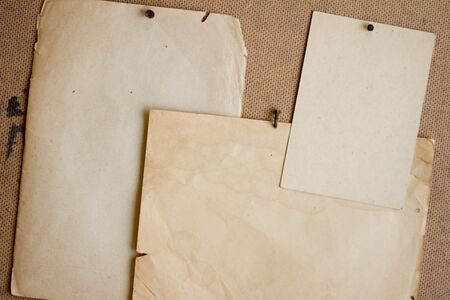 Sheets of paper pinned to the plywood.の写真素材