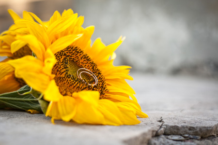 Wedding bouquet. A bouquet of flowers on the old stone fence.の写真素材