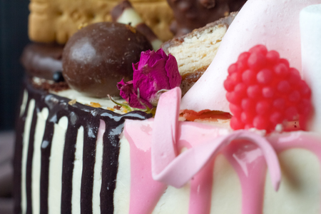 Closeup of black and white chocolate sponge cake with pink and chocolate decoration against the...