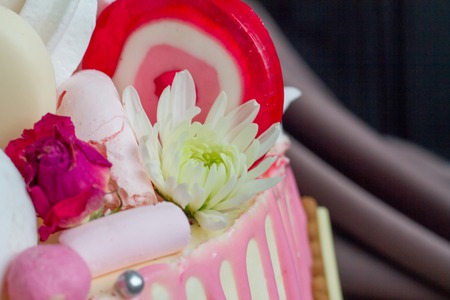 Closeup of black and white chocolate sponge cake with pink and chocolate decoration against the...