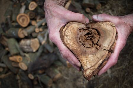Closeup of male hands holding a heart-shaped wood cut for heating a house, background or concept.