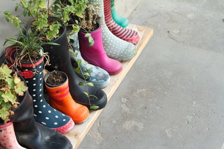 Multi-colored rubber boots as flower pots with different blooming flowers on the veranda, concept of ecologyの写真素材