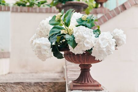 A white blooming hydrangea in a marble flowerpot adorns the railing of the stairs in a country...