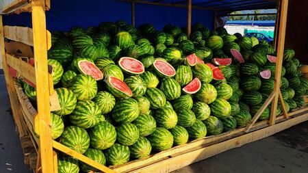 Large pile of green striped watermelons, a market bench for a watermelon merchant, cut red watermelons lie on topの写真素材