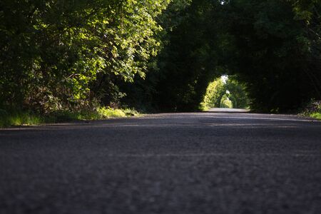 Asphalt road among a forest, tree branches converge above the road, selective focusの写真素材