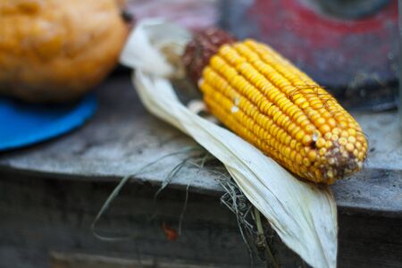 Extreme close-up of a corn cob on dark rustic wooden table, selective focus
