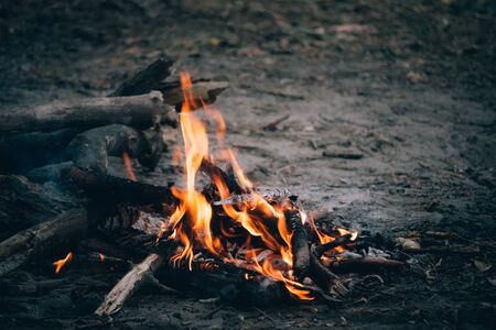 Close up of an orange flame of an evening bonfire in the forest, a picnic in nature, selective focus